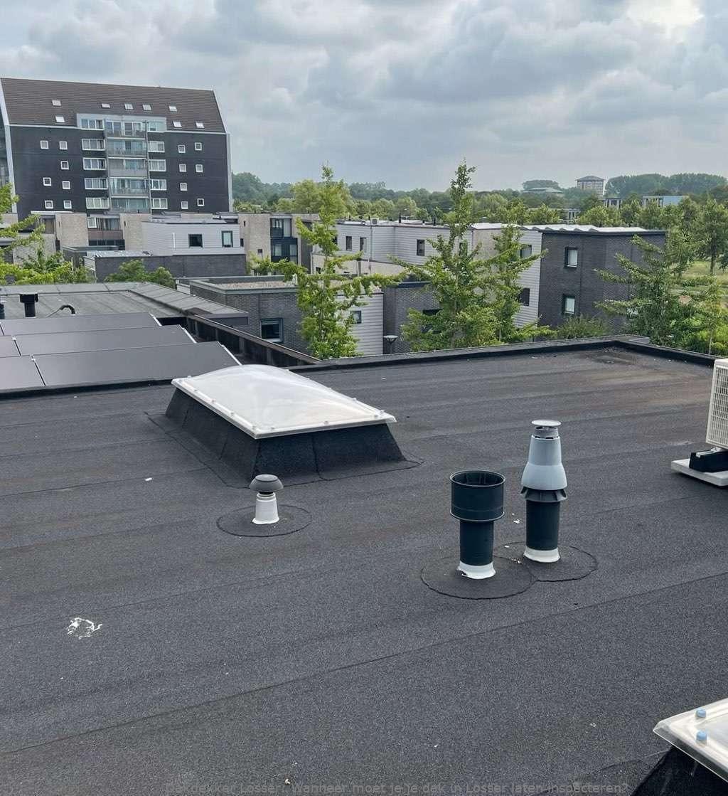Dak Laten Inspecteren Losser