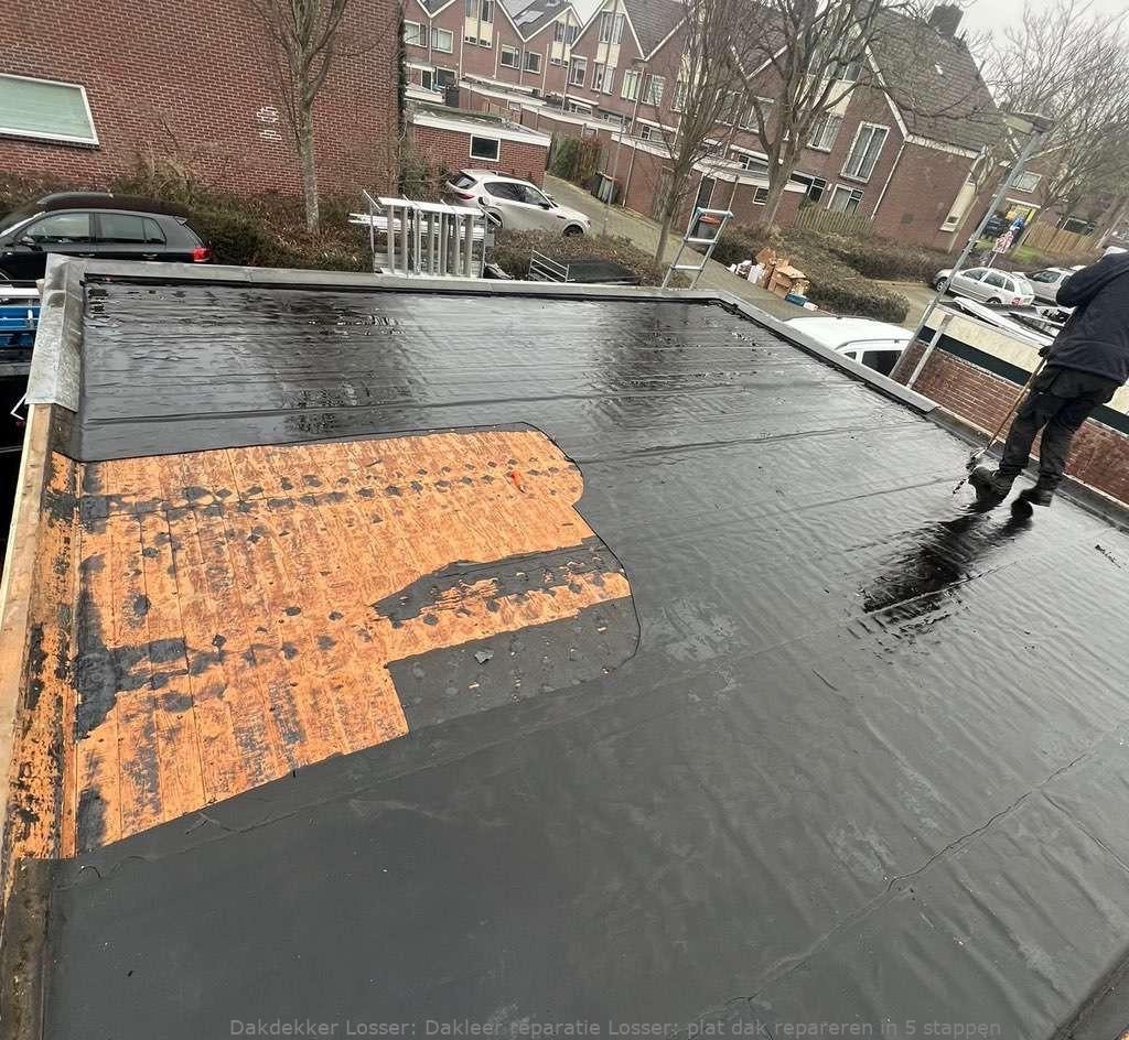Dakleer Reparatie Losser
