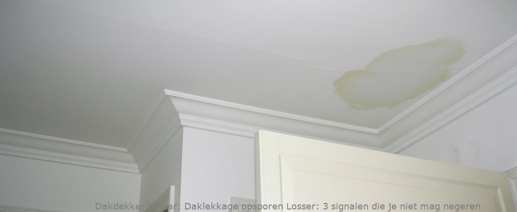 Daklekkage Opsporen Losser 1
