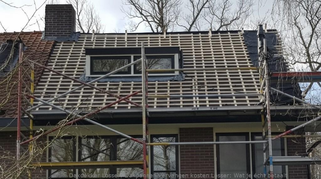 Dakpannen Vervangen Kosten Losser