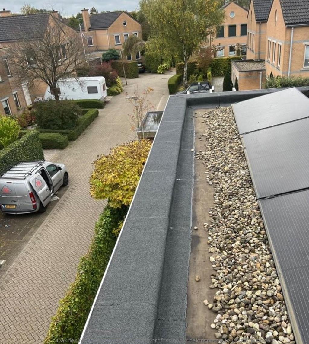 Professionele Dakinspectie Losser