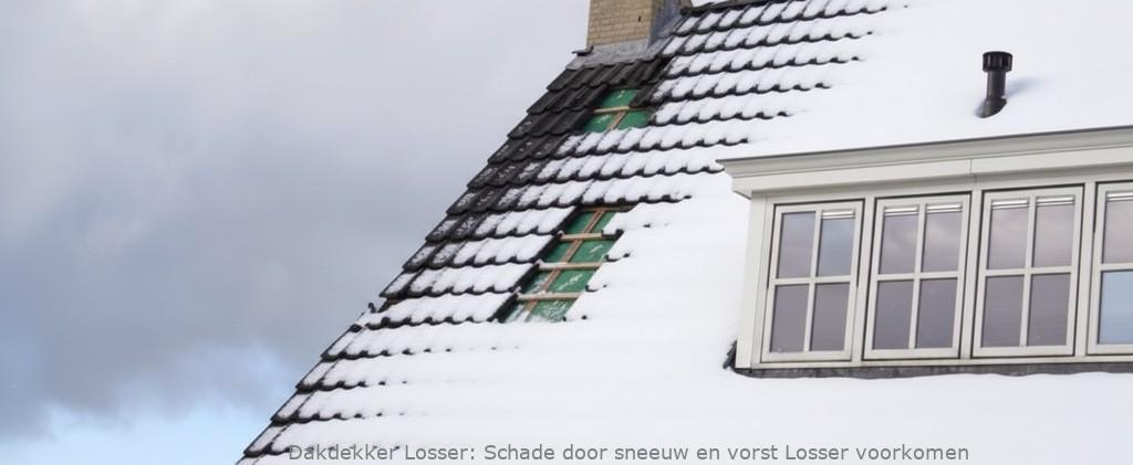 Schade Door Sneeuw En Vorst Losser