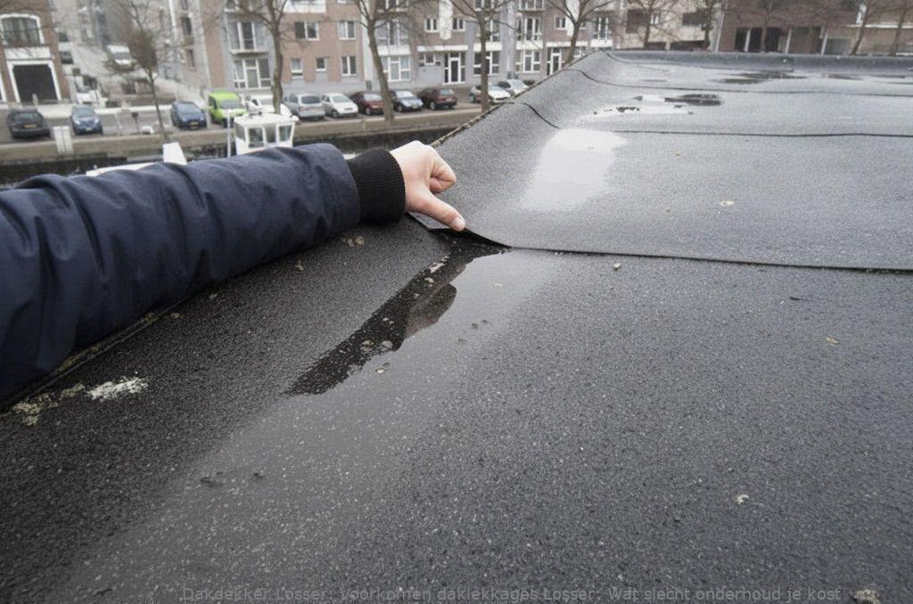 Voorkomen Daklekkages Losser